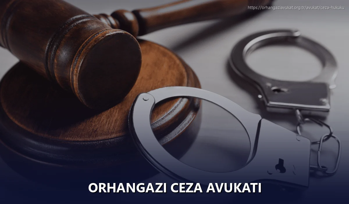 Orhangazi Ceza Avukatı
